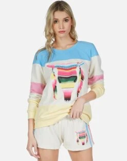 Erica Striped Bull 14 Erica Striped Bull -Sweater Store lauren moshi stripe bull color block pullover 1361 FTL 13057 ILSSBCP 05