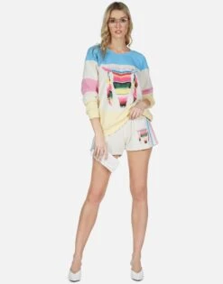 Erica Striped Bull 17 Erica Striped Bull -Sweater Store lauren moshi stripe bull color block pullover 1361 FTL 13057 ILSSBCP 06